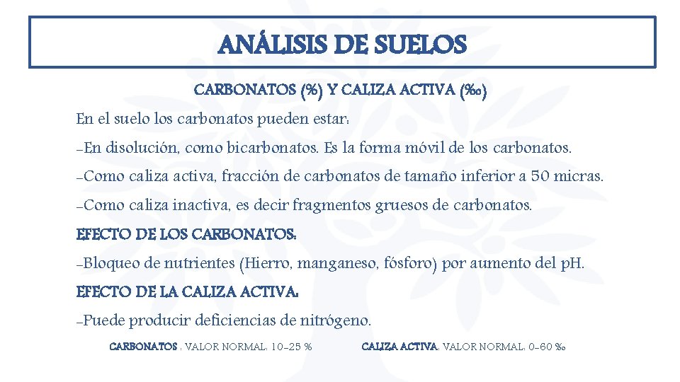 ANÁLISIS DE SUELOS CARBONATOS (%) Y CALIZA ACTIVA (‰) En el suelo los carbonatos ANÁLISIS DE SUELOS CARBONATOS (%) Y CALIZA ACTIVA (‰) En el suelo los carbonatos