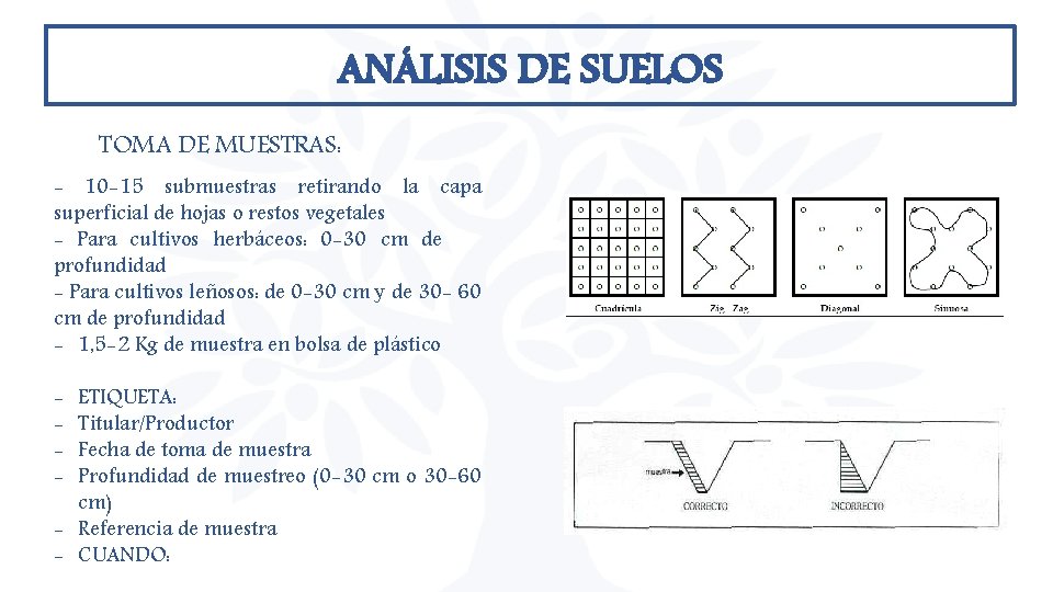 ANÁLISIS DE SUELOS TOMA DE MUESTRAS: - 10 -15 submuestras retirando la capa superficial ANÁLISIS DE SUELOS TOMA DE MUESTRAS: - 10 -15 submuestras retirando la capa superficial