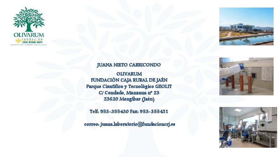 JUANA NIETO CARRICONDO OLIVARUM FUNDACIÓN CAJA RURAL DE JAÉN Parque Científico y Tecnológico GEOLIT JUANA NIETO CARRICONDO OLIVARUM FUNDACIÓN CAJA RURAL DE JAÉN Parque Científico y Tecnológico GEOLIT