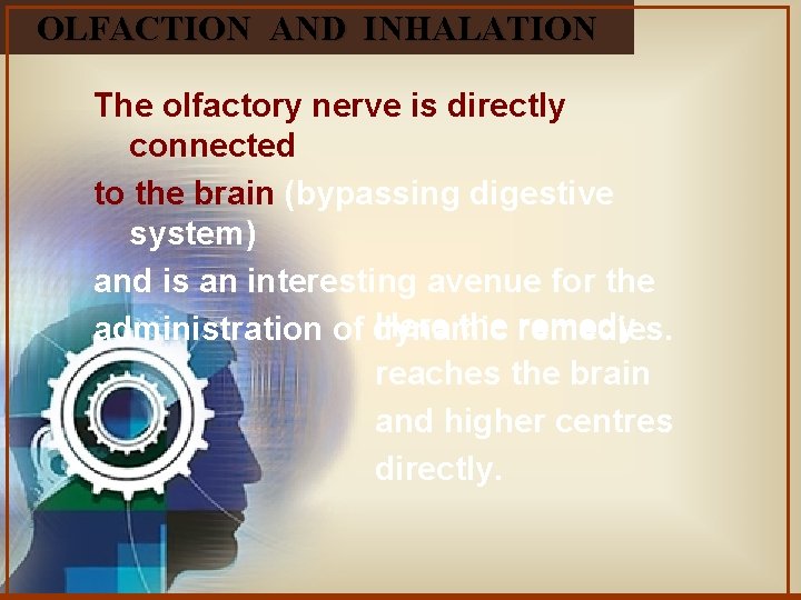 OLFACTION AND INHALATION The olfactory nerve is directly connected to the brain (bypassing digestive