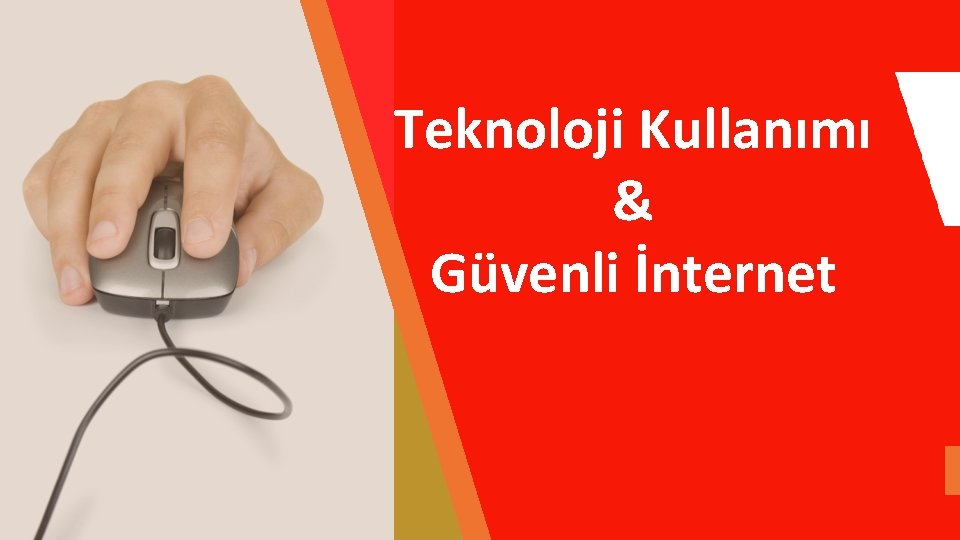 Teknoloji Kullanımı & Güvenli İnternet 