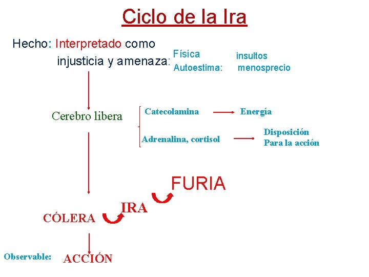 Ciclo de la Ira Hecho: Interpretado como Física injusticia y amenaza: Autoestima: Cerebro libera