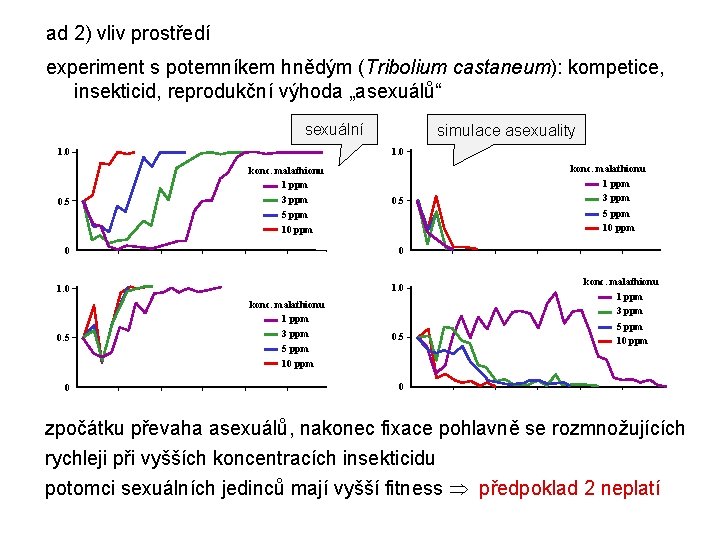 ad 2) vliv prostředí experiment s potemníkem hnědým (Tribolium castaneum): kompetice, insekticid, reprodukční výhoda