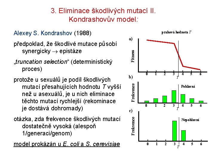 3. Eliminace škodlivých mutací II. Kondrashovův model: protože u sexuálů je podíl škodlivých mutací