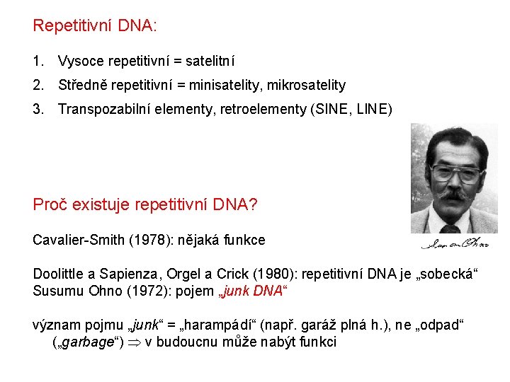 Repetitivní DNA: 1. Vysoce repetitivní = satelitní 2. Středně repetitivní = minisatelity, mikrosatelity 3.