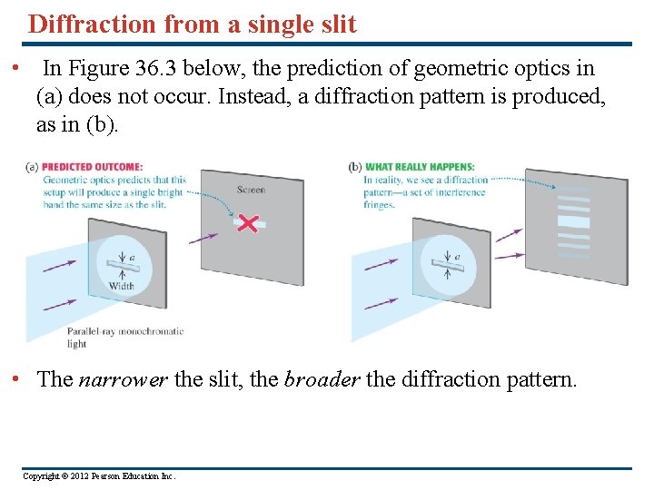 Diffraction from a single slit • In Figure 36. 3 below, the prediction of