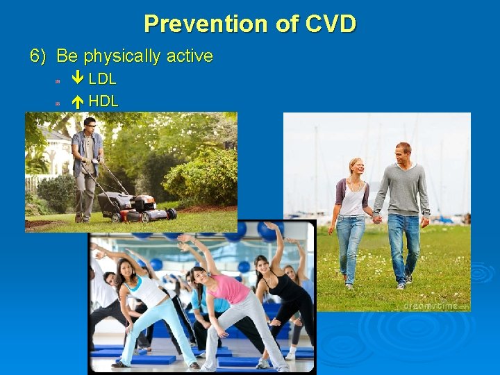 Prevention of CVD 6) Be physically active LDL HDL 