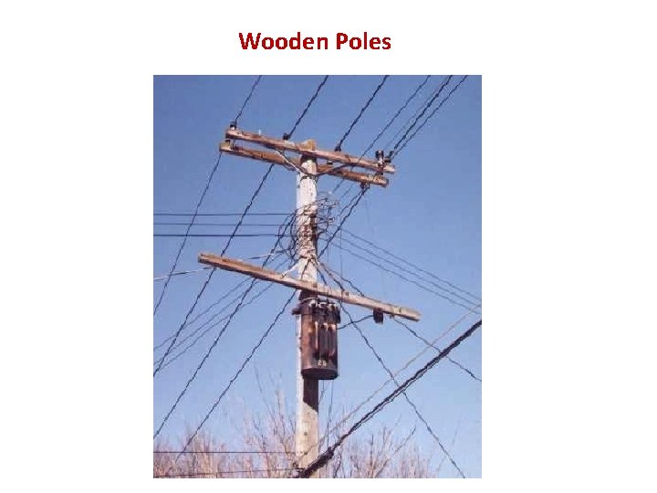 Wooden Poles 