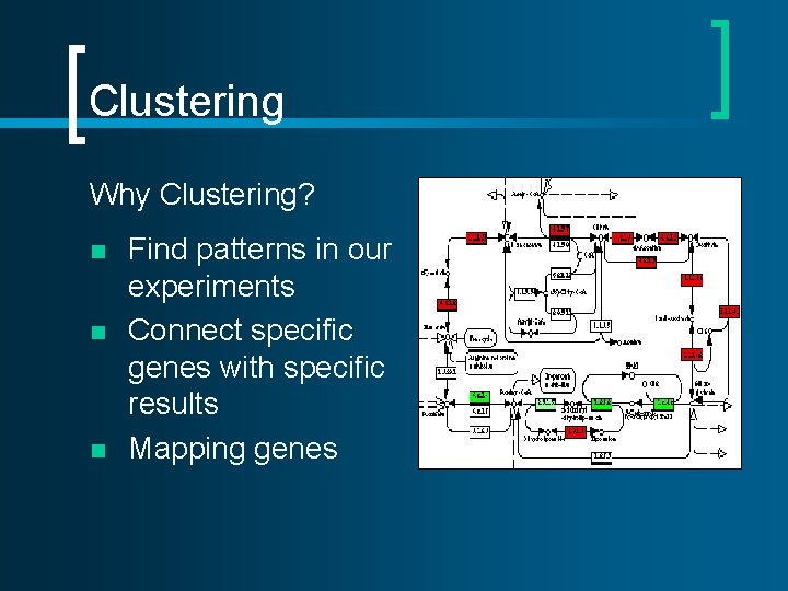 Clustering Why Clustering? n n n Find patterns in our experiments Connect specific genes Clustering Why Clustering? n n n Find patterns in our experiments Connect specific genes