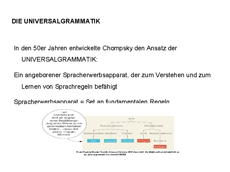DIE UNIVERSALGRAMMATIK In den 50 er Jahren entwickelte Chompsky den Ansatz der UNIVERSALGRAMMATIK: Ein