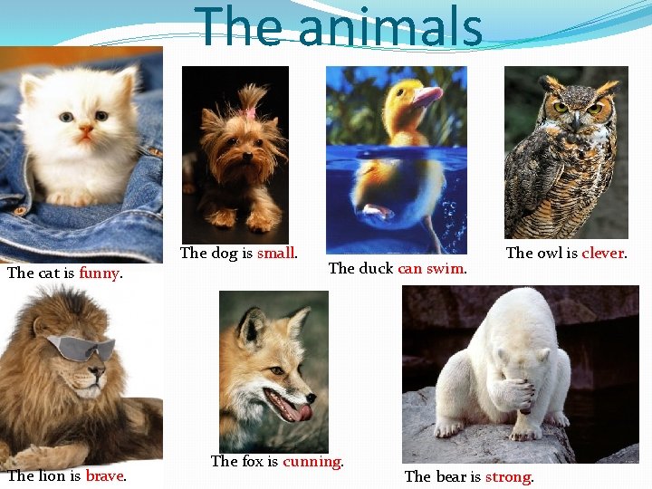 The animals The dog is small. The cat is funny. The lion is brave.