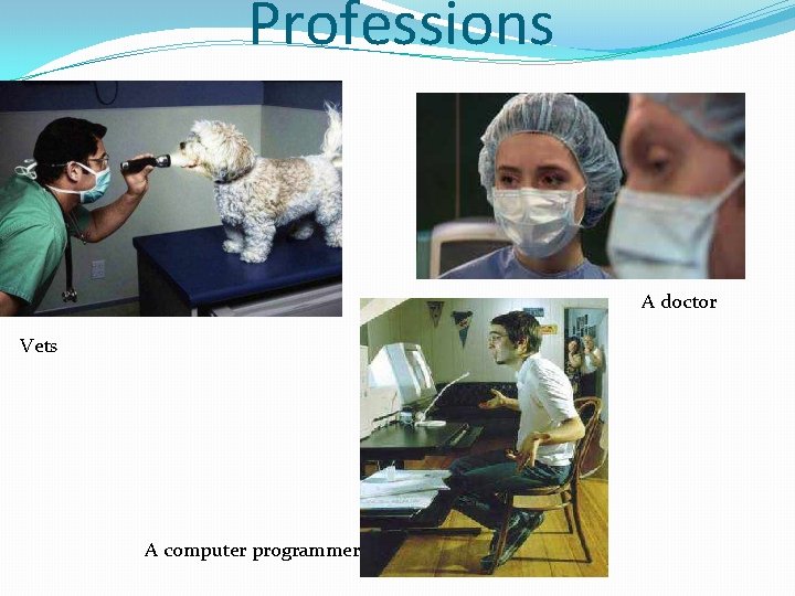 Professions A doctor Vets A computer programmer 