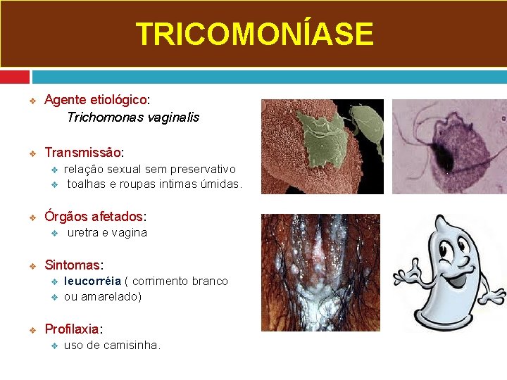 TRICOMONÍASE v v Agente etiológico: Trichomonas vaginalis Transmissão: v v v Órgãos afetados: v