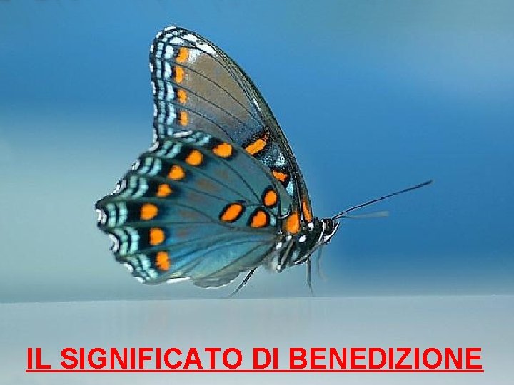 A mi Manera Frank Pourcel IL SIGNIFICATO DI BENEDIZIONE 