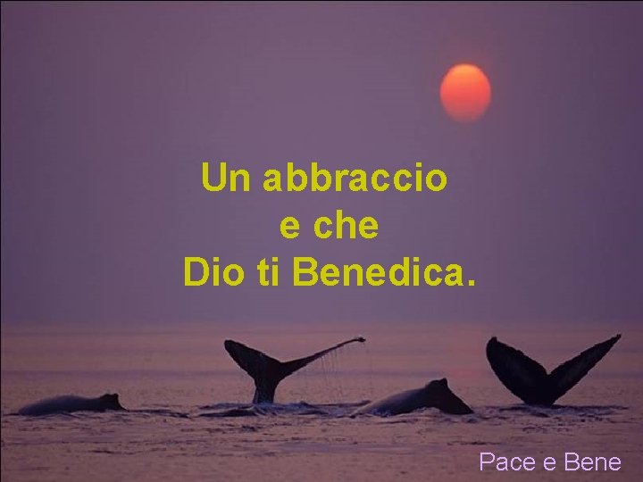 Un abbraccio e che Dio ti Benedica. Pace e Bene 