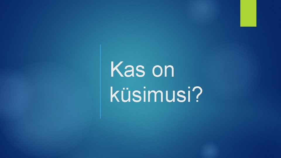 Kas on küsimusi? 