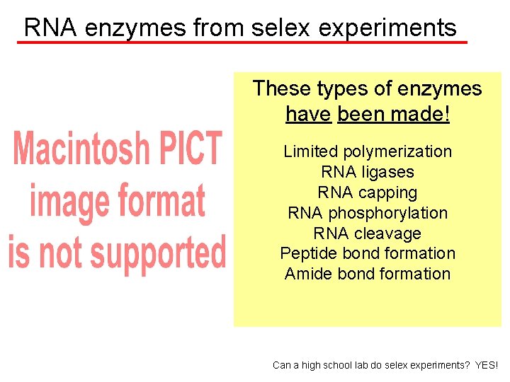 RNA enzymes from selex experiments These types of enzymes have been made! Limited polymerization