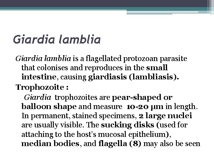 Giardia lamblia is a flagellated protozoan parasite that colonises and reproduces in the small