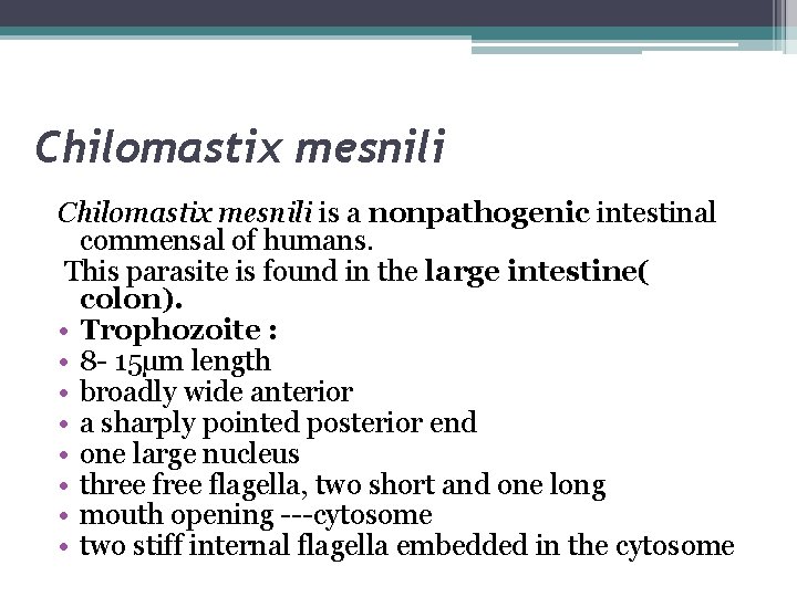 Chilomastix mesnili is a nonpathogenic intestinal commensal of humans. This parasite is found in
