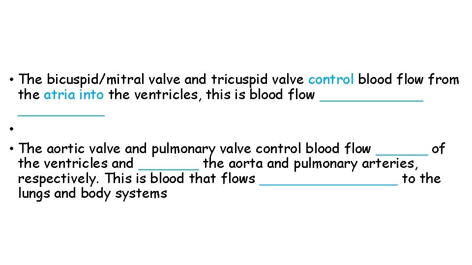  • The bicuspid/mitral valve and tricuspid valve control blood flow from the atria