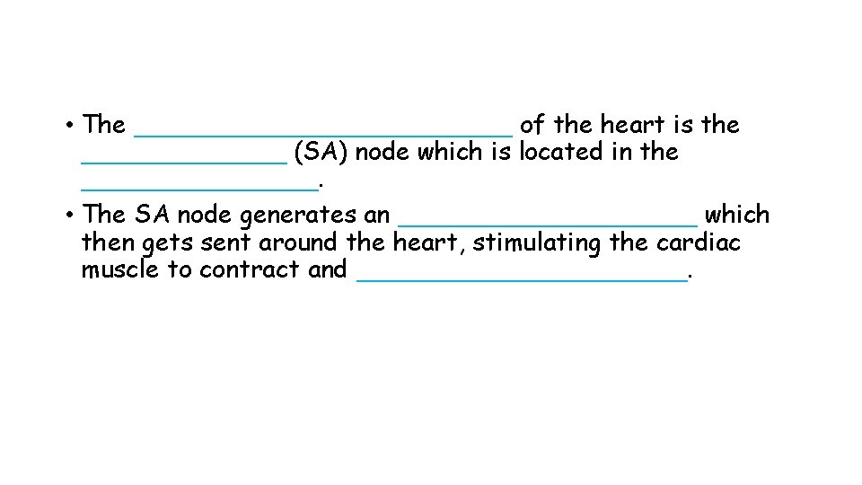  • The ____________ of the heart is the _______ (SA) node which is