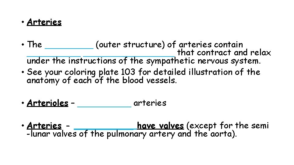  • Arteries • The _____ (outer structure) of arteries contain _________________ that contract