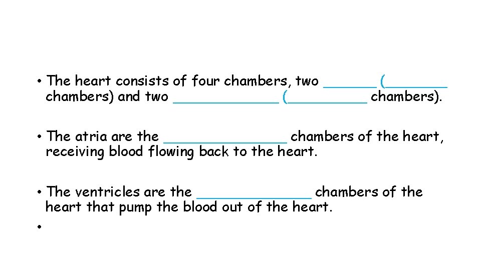  • The heart consists of four chambers, two ______ (_______ chambers) and two