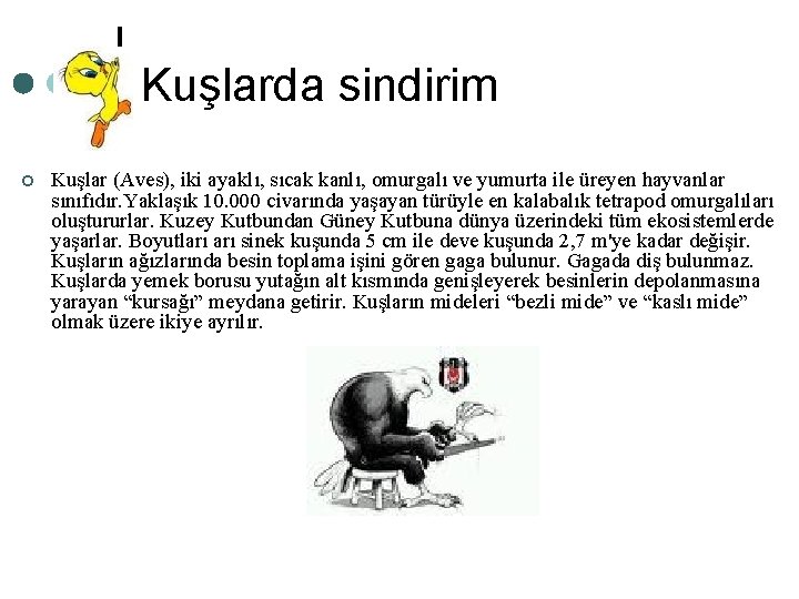 Kuşlarda sindirim ¢ Kuşlar (Aves), iki ayaklı, sıcak kanlı, omurgalı ve yumurta ile üreyen Kuşlarda sindirim ¢ Kuşlar (Aves), iki ayaklı, sıcak kanlı, omurgalı ve yumurta ile üreyen