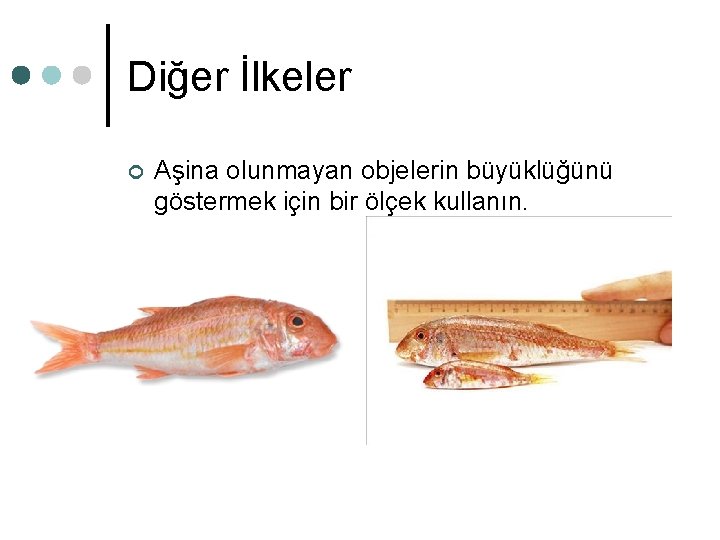 Diğer İlkeler ¢ Aşina olunmayan objelerin büyüklüğünü göstermek için bir ölçek kullanın. Diğer İlkeler ¢ Aşina olunmayan objelerin büyüklüğünü göstermek için bir ölçek kullanın.