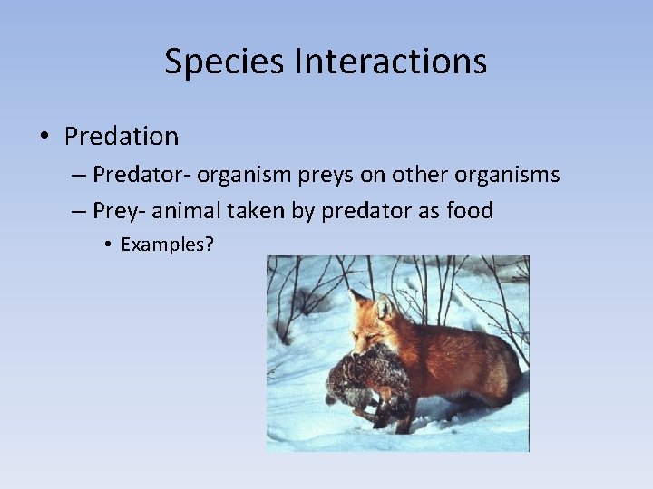 Species Interactions • Predation – Predator- organism preys on other organisms – Prey- animal