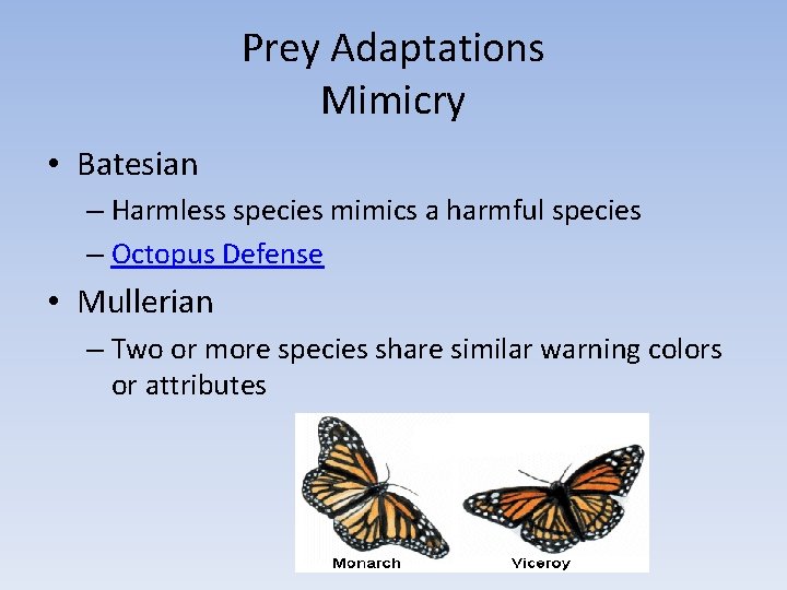 Prey Adaptations Mimicry • Batesian – Harmless species mimics a harmful species – Octopus