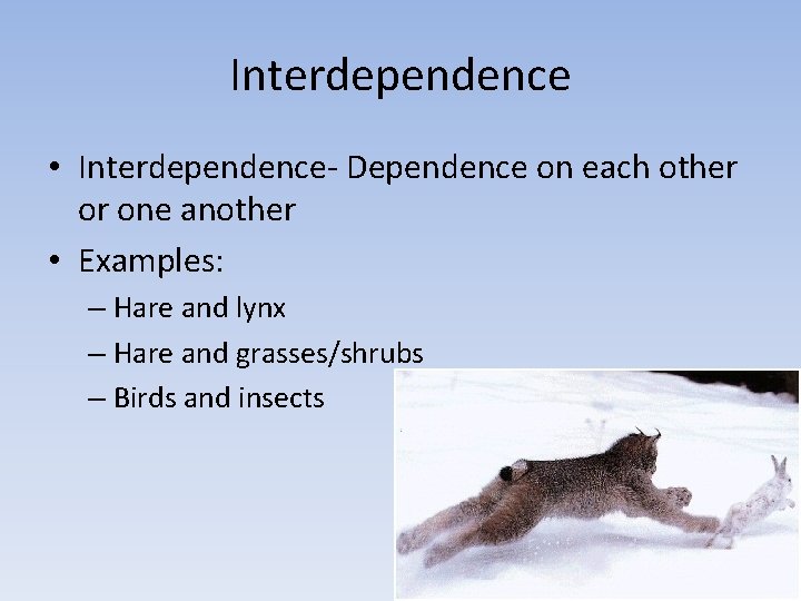 Interdependence • Interdependence- Dependence on each other or one another • Examples: – Hare