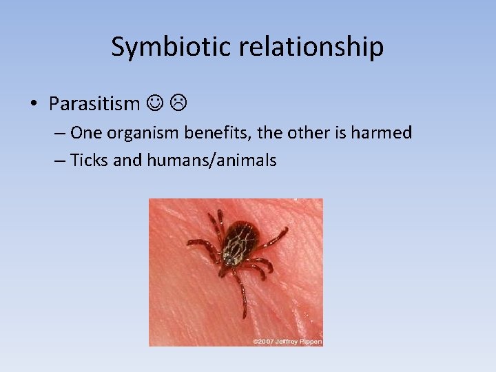 Symbiotic relationship • Parasitism – One organism benefits, the other is harmed – Ticks