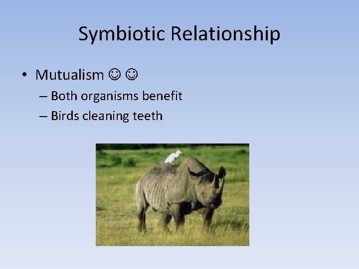 Symbiotic Relationship • Mutualism – Both organisms benefit – Birds cleaning teeth 