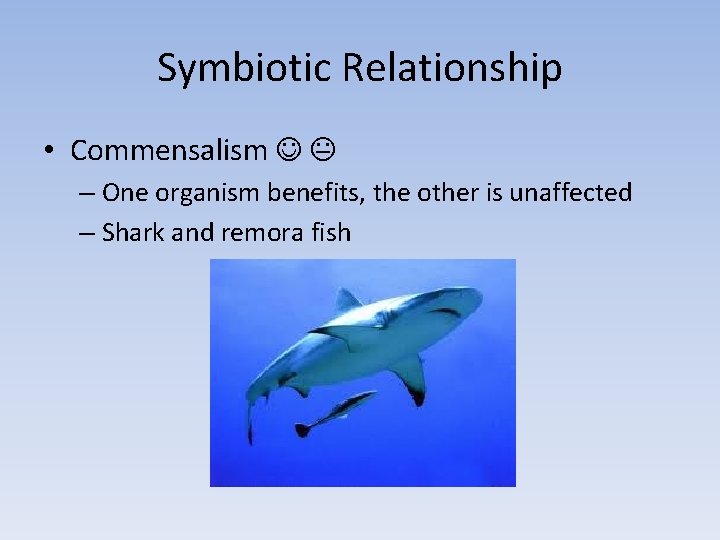 Symbiotic Relationship • Commensalism – One organism benefits, the other is unaffected – Shark