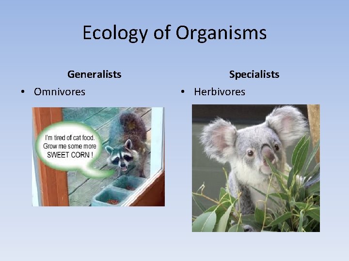 Ecology of Organisms Generalists • Omnivores Specialists • Herbivores 