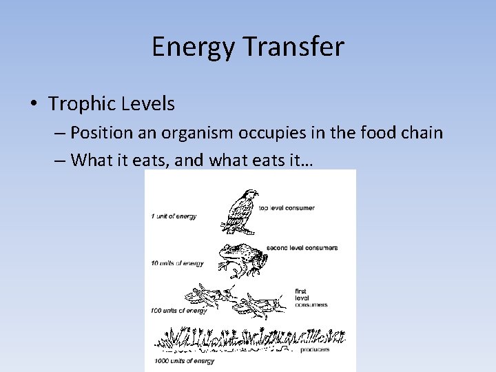 Energy Transfer • Trophic Levels – Position an organism occupies in the food chain