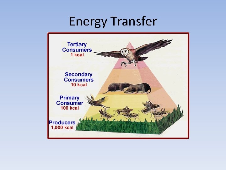 Energy Transfer 