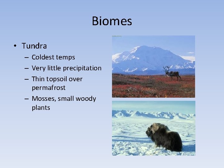 Biomes • Tundra – Coldest temps – Very little precipitation – Thin topsoil over