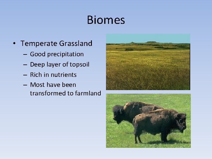 Biomes • Temperate Grassland – – Good precipitation Deep layer of topsoil Rich in