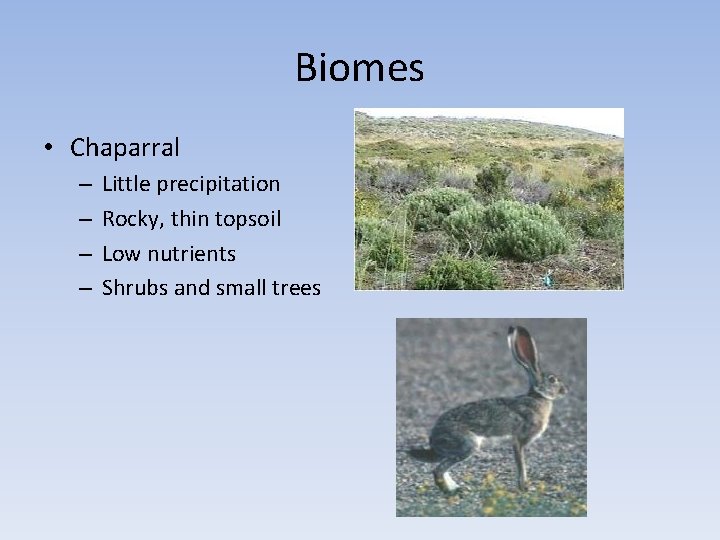 Biomes • Chaparral – – Little precipitation Rocky, thin topsoil Low nutrients Shrubs and