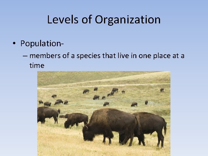 Levels of Organization • Population– members of a species that live in one place