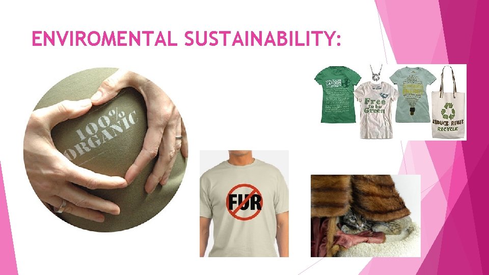 ENVIROMENTAL SUSTAINABILITY: 