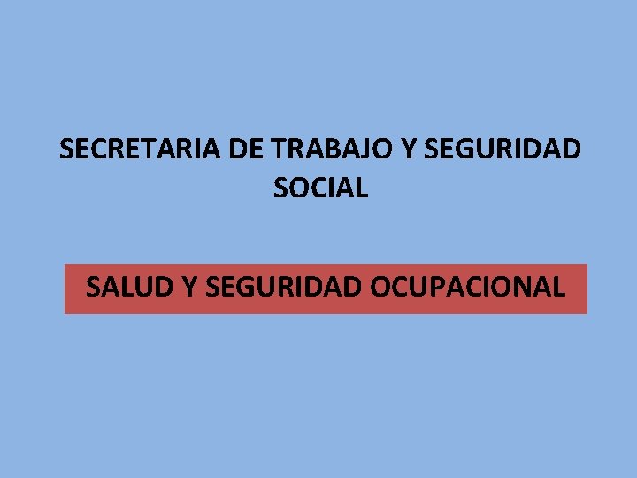 SECRETARIA DE TRABAJO Y SEGURIDAD SOCIAL SALUD Y SEGURIDAD OCUPACIONAL 