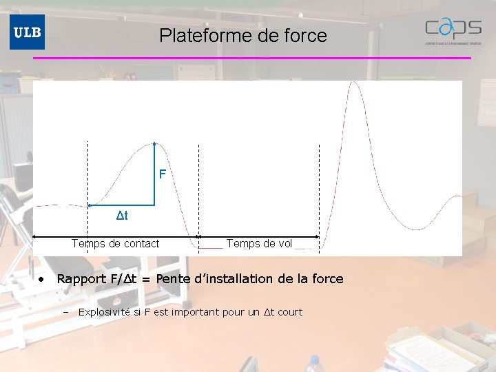 Plateforme de force F Δt Temps de contact Temps de vol • Rapport F/Δt