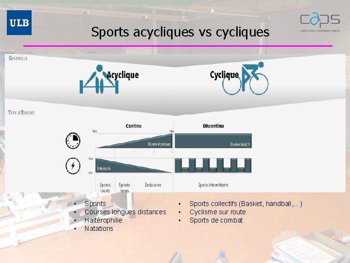 Sports acycliques vs cycliques • • Sprints Courses longues distances Haltérophilie Natations • •