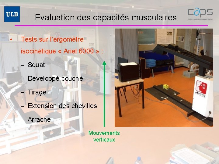 Evaluation des capacités musculaires • Tests sur l’ergomètre isocinétique « Ariel 6000 » :