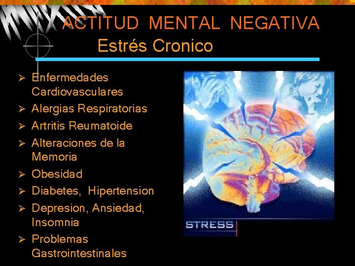 ACTITUD MENTAL NEGATIVA Estrés Cronico Ø Ø Ø Ø Enfermedades Cardiovasculares Alergias Respiratorias Artritis