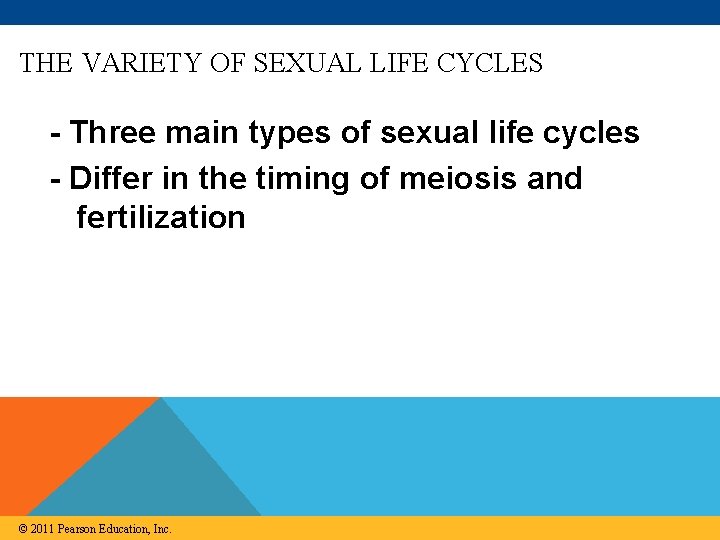 THE VARIETY OF SEXUAL LIFE CYCLES - Three main types of sexual life cycles