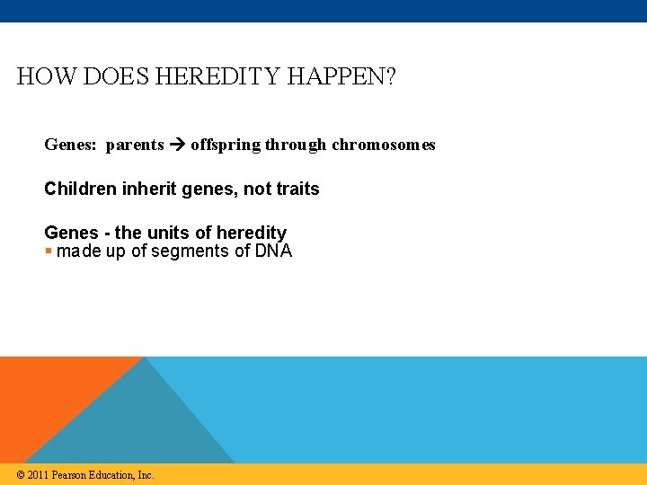 HOW DOES HEREDITY HAPPEN? Genes: parents offspring through chromosomes Children inherit genes, not traits